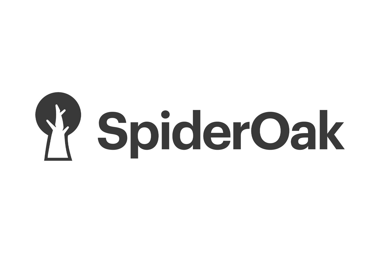 Spideroak One
